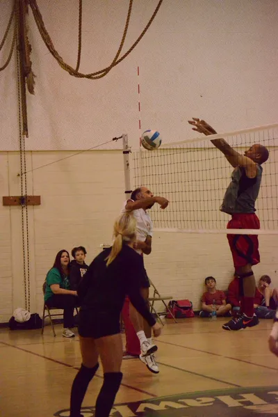 DSC_1733 (Large).JPG